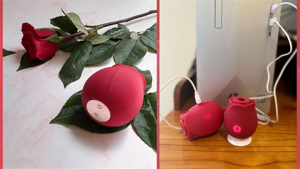 Read more about the article Can You Charge Rose Toy With Apple Watch Charger? Explained