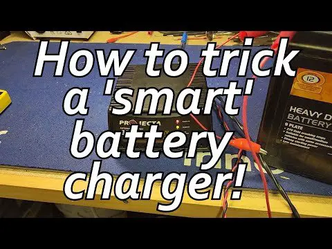 Read more about the article Trick Your Smart Battery Charger: A Foolproof Guide