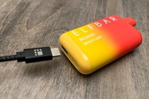 Read more about the article What Charger Works For An Elf Bar? Find Out Now!