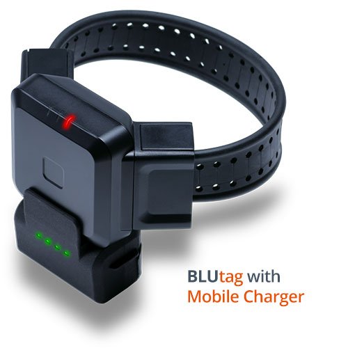 Read more about the article Where To Buy An Ankle Monitor Charger: Best Options Revealed