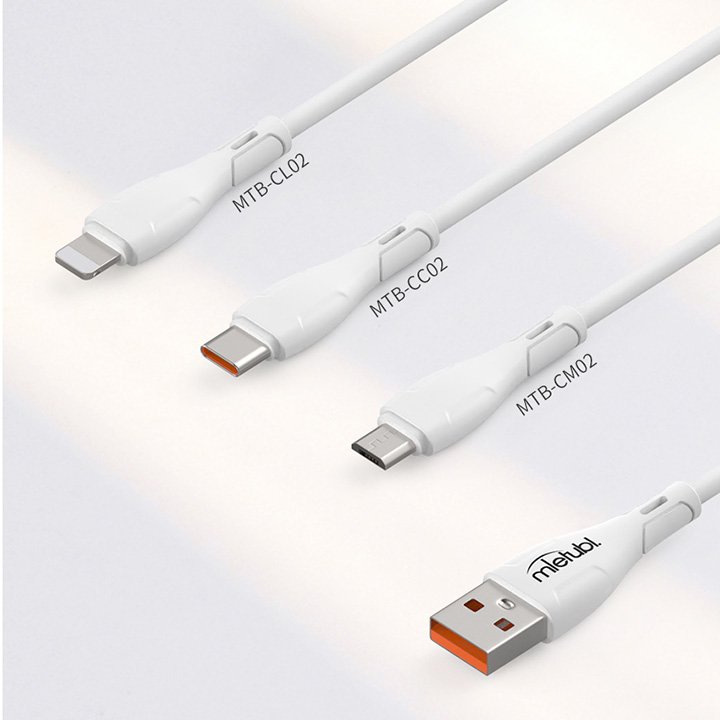 Read more about the article Exploring Charger Types: How Many Are There?