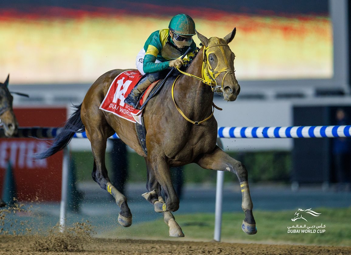 Dubai World Cup 2024 Entries A Thrilling Showcase Of Equestrian Excellence