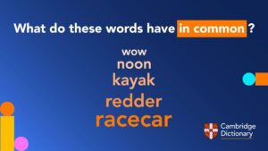 Read more about the article The Surprising Similarities: What Does Race Car And Kayak Have In Common?