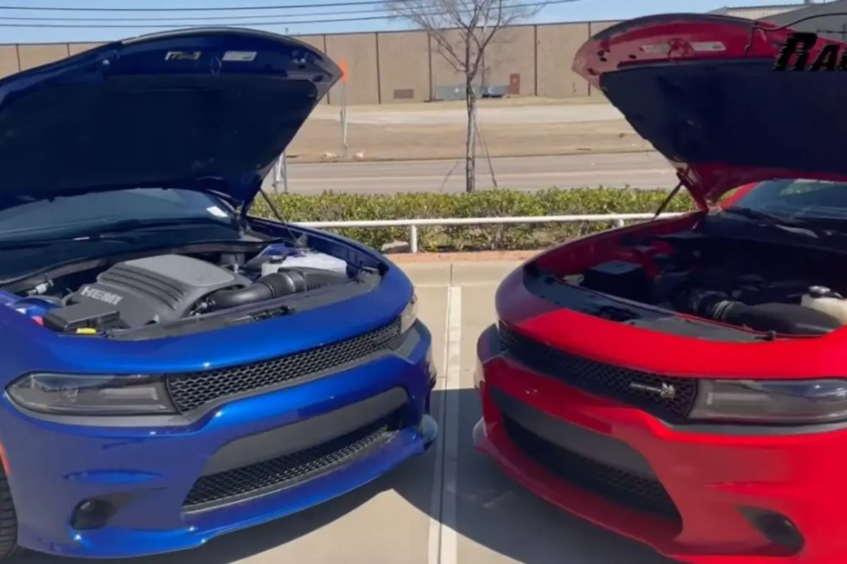 Read more about the article The Difference Between Dodge Charger Rt And Scat Pack Explained