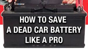 Read more about the article Revive Your Dead Lead Acid Battery: A Step-By-Step Guide