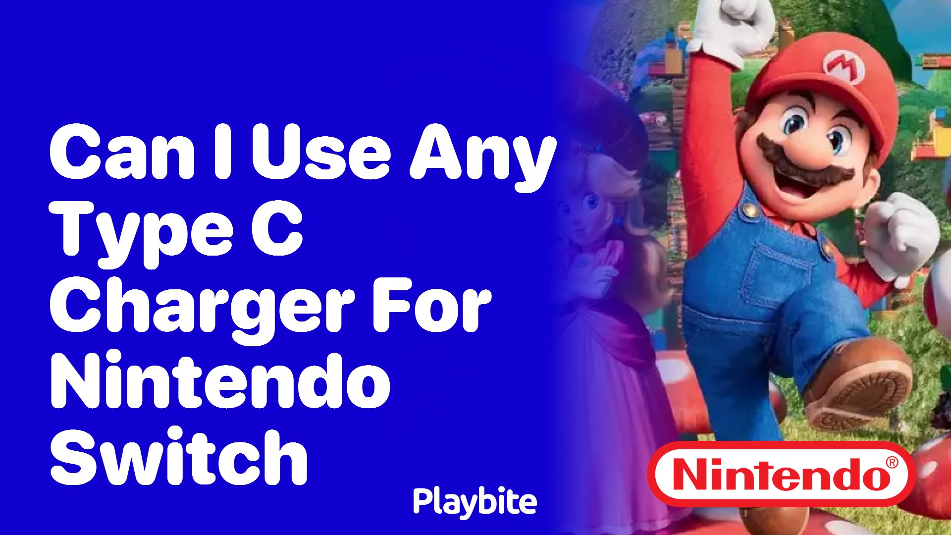 Read more about the article Can I Use Any Charger For Switch? Here’S What You Need To Know