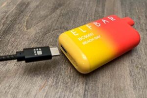 Read more about the article Do Elf Bars Come With A Charger? Find Out Here