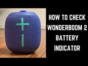 Read more about the article Quick Guide: How To Check Wonderboom Battery