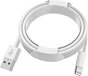 Read more about the article Does A Lightning Cable Double As A Fast Charger?