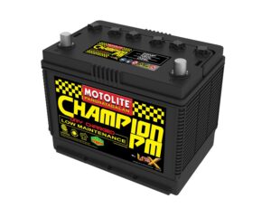 Read more about the article Top Suppliers: Who Sells Champion Battery For Optimal Performance