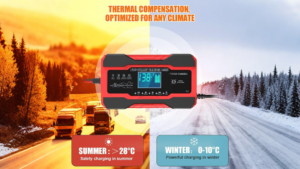 Does Desulfating a Battery Work? Unveiling the Truth